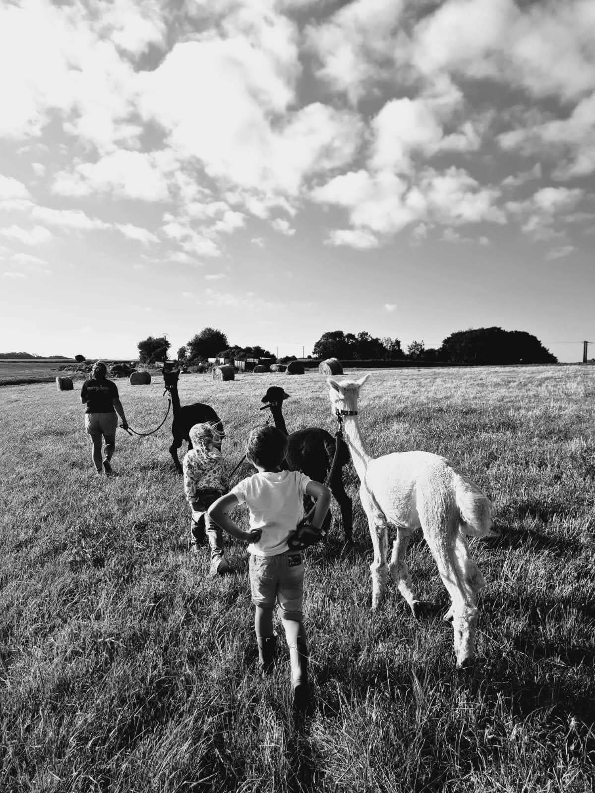 Photos de la ferme et des animaux
